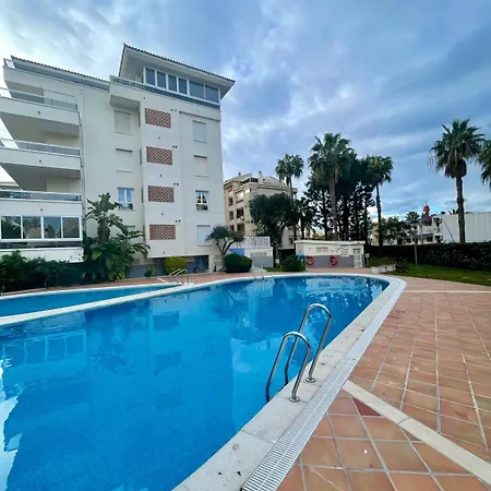Albir Paradise *