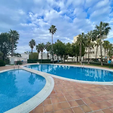 Albir Paradise *